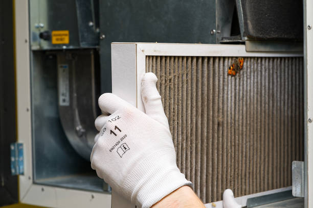 Best Air Quality Test  in Marianne, PA